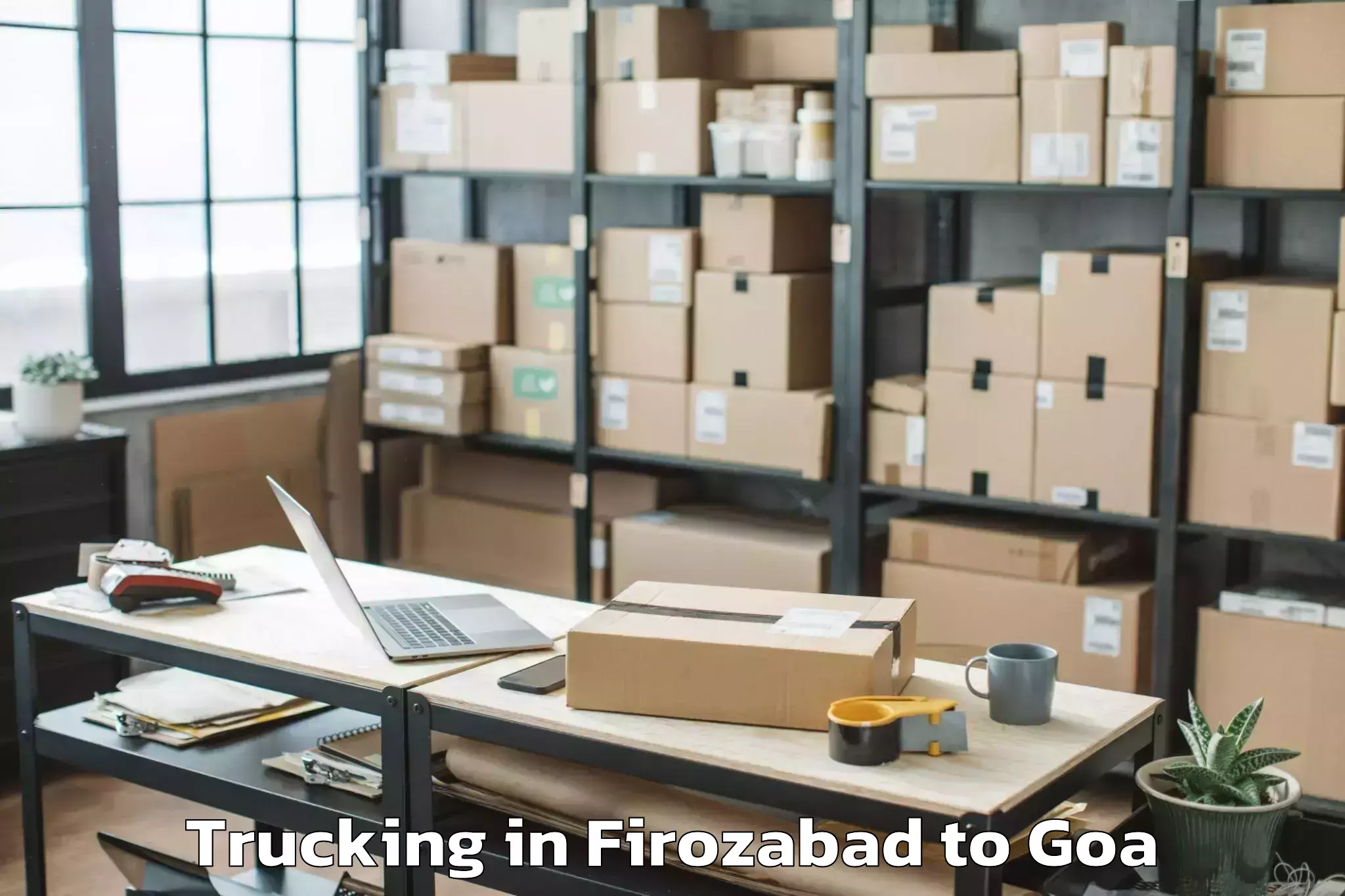 Leading Firozabad to Serula Trucking Provider